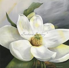 Magnolia ala Georgia